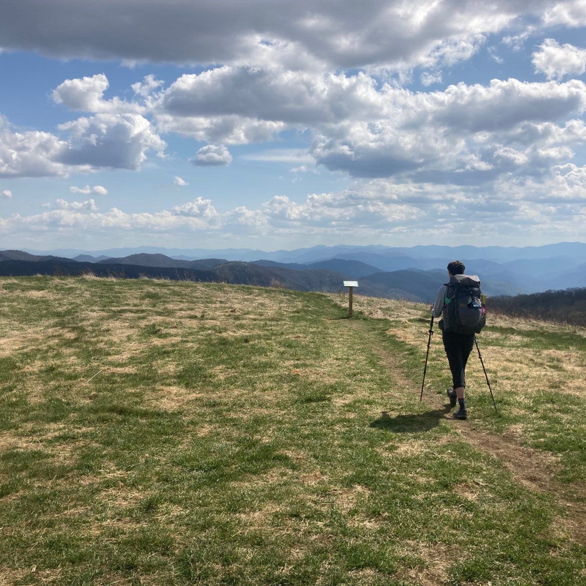 Can You Help Me Reach 20 Reviews on&nbsp;Amazon?