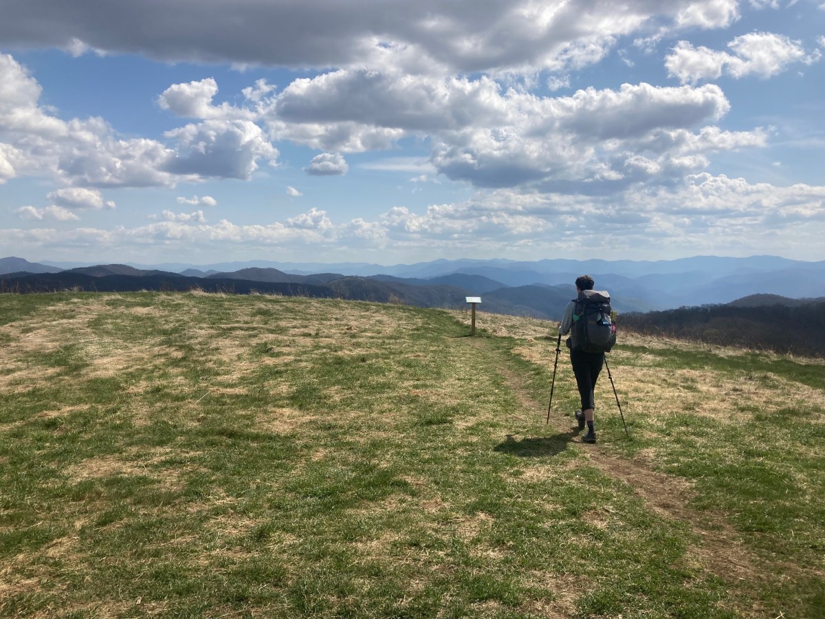 Can You Help Me Reach 20 Reviews on&nbsp;Amazon?