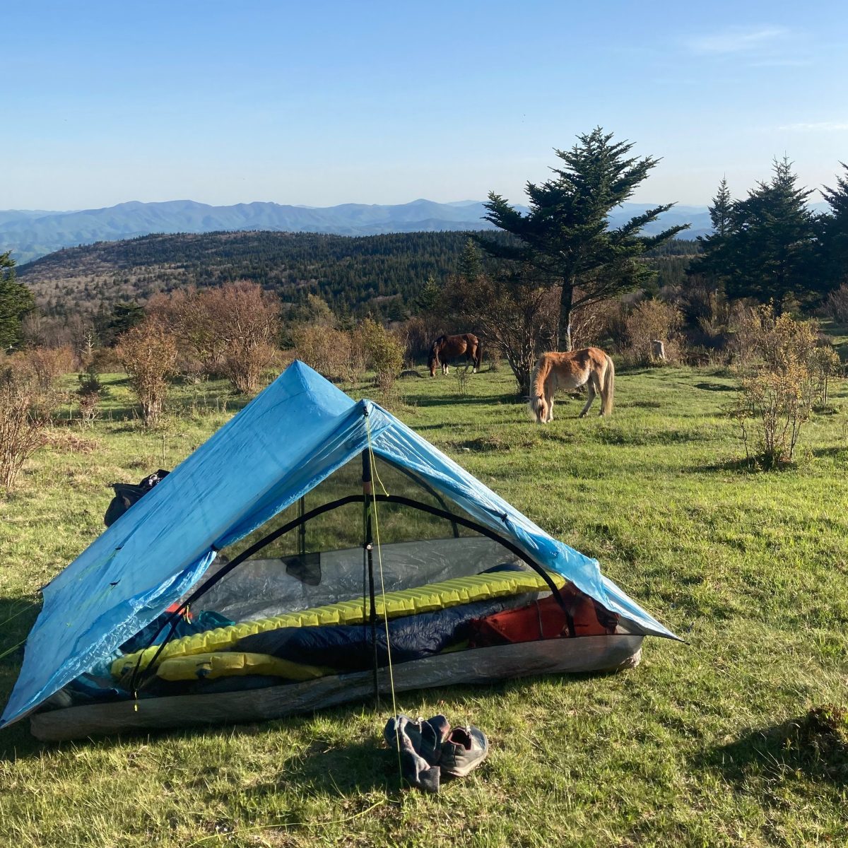 Sneak Peek of One Step at a Time (Sample&nbsp;Chapter)